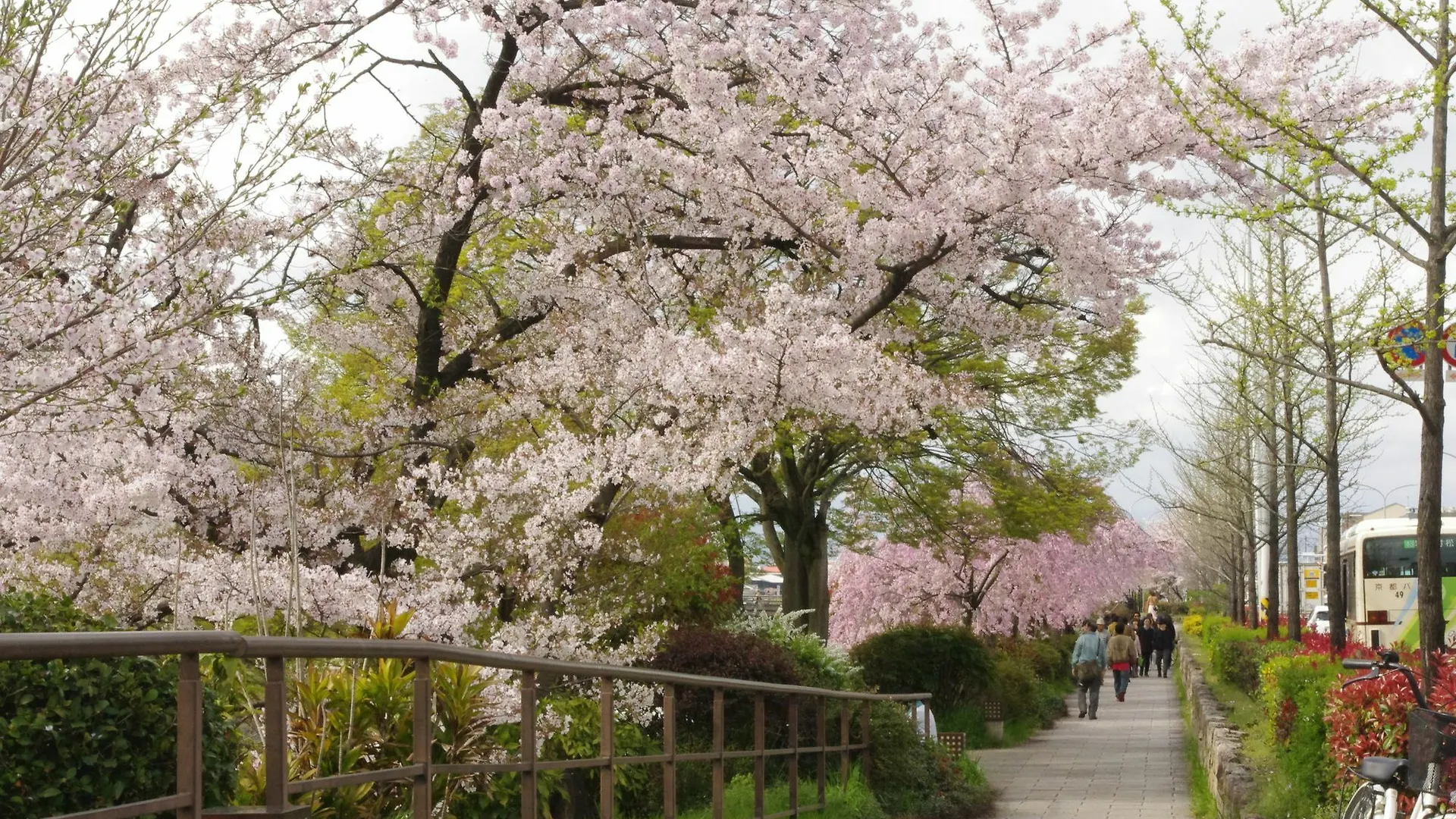 Resi Stay Gion 교토